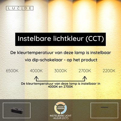 Lucide JOAKIM - Hanglamp - LED Dimb. - CCT - 12x7W 2700K/4000K - Koffie | Premium